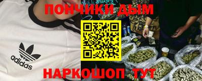 дурь Камышлов