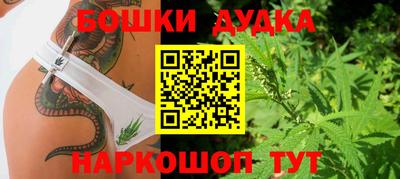 дурь Камышлов