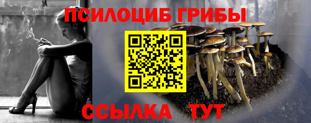 Лабинск  Псилоцибиновые грибы MAGIC MUSHROOMS  Вход с VPN 